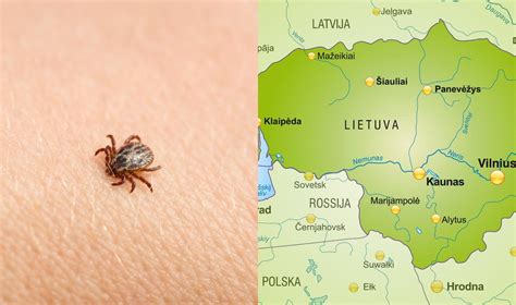 erkės ir erkinio encefalito plitimas