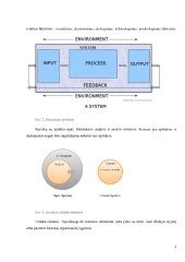 Bronfenbrennerio ekologinių sistemų teorijos schema
