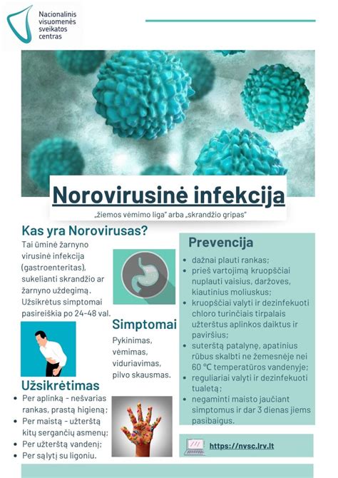 Infografika su noro viruso simptomais