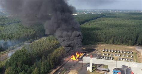 Kaip atrodo sojų kukuliukai