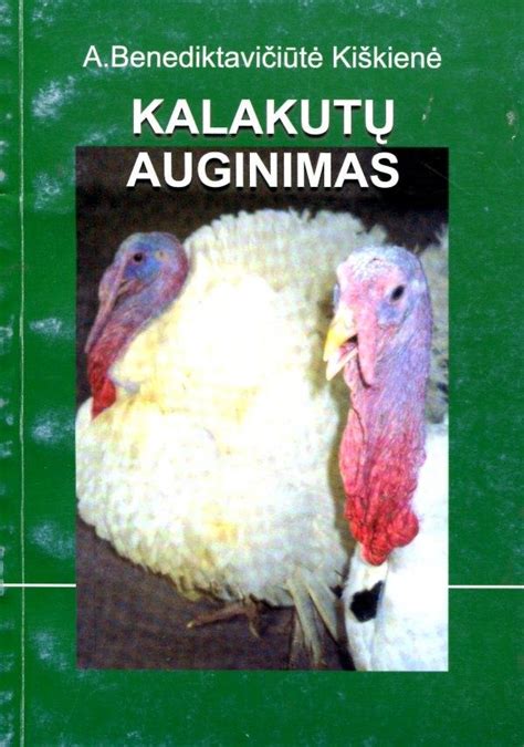 Istorinis kalakutų auginimas