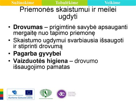 schematinis procesas tapimo globotoju