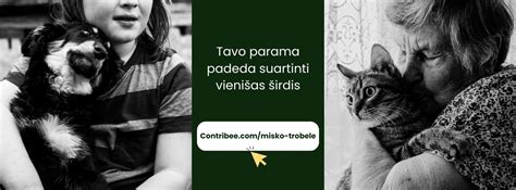 Gyvūnų prieglauda kaime