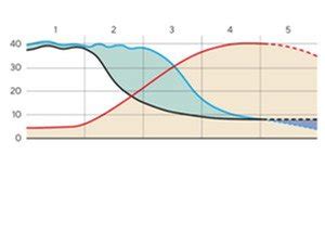 Demografinės raidos schema Lietuvoje