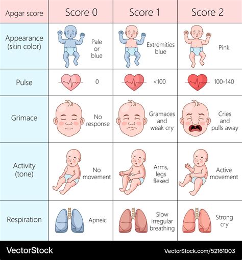 Apgar skalė naujagimiui