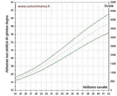 Schema, kaip matuojamas gimdos dugno aukštis