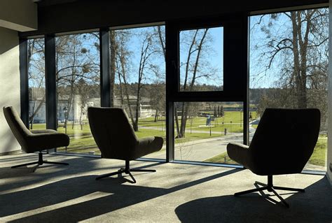 Psichoterapeuto Juliaus Mockos darbo erdvė