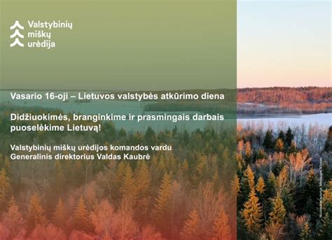 Schema, iliustruojanti privačių ir valstybinių miškų santykį ES šalyse.