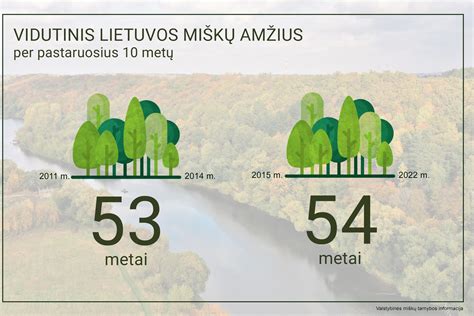 Grafikas, rodantis Lietuvos miškų medynų tūrio pokyčius per kelis dešimtmečius.