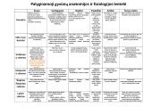 Vizualinė palyginamoji lentelė skirtingų galvos deformacijų tipų