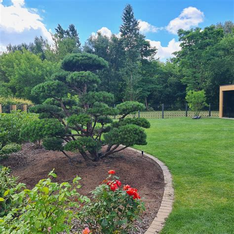 Vėlimo procesas: sluoksniavimas ir formavimas