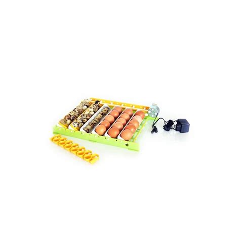 Kiaušinių vartymo svarba inkubacijoje