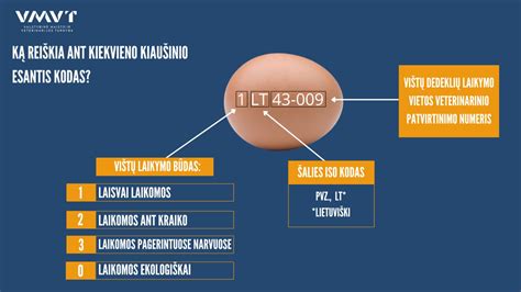 Schema kiaušinių ženklinimo