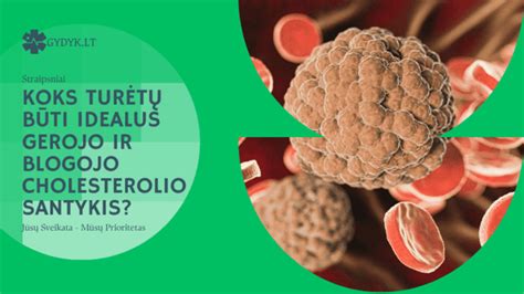 kiaušinių ir cholesterolio santykis