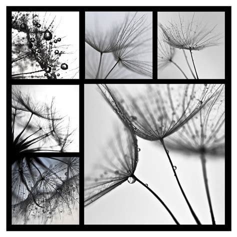 Juodai baltas paveikslas su užrašu 