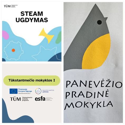 Statistika: Pasirengimas savarankiškam gyvenimui