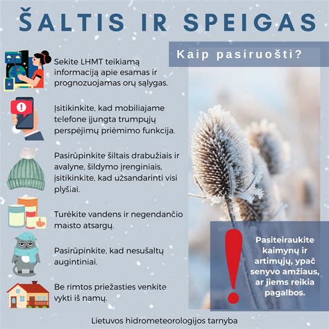 Infografika, iliustruojanti pagrindines socialinės globos gyventojų teises