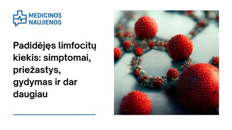 Limfocitų ir neutrofilų palyginimas