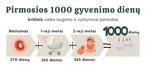 Kūdikio primaitinimo etapai