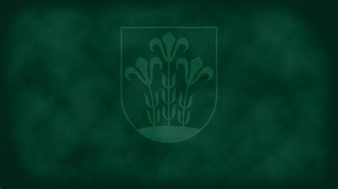 schemos apie Rh nesuderinamumą