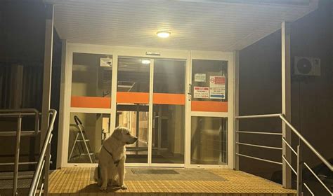 Vaizdas į ligoninės registratūros interjerą