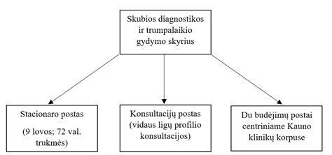 Schema, iliustruojanti Skubiosios medicinos skyriaus veiklą