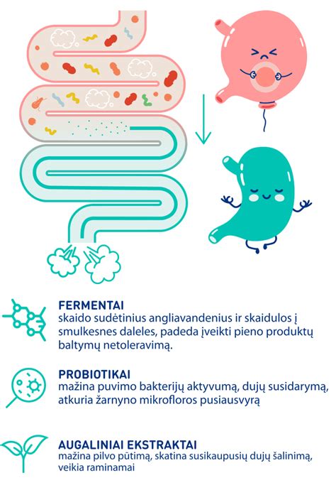 Infografika: Dažniausios dispepsijos ir pilvo pūtimo priežastys
