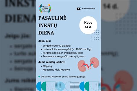 Sveikų inkstų svarba organizmui