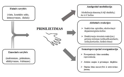 Grafikas, rodantis BPA poveikį sveikatai (scheminis)