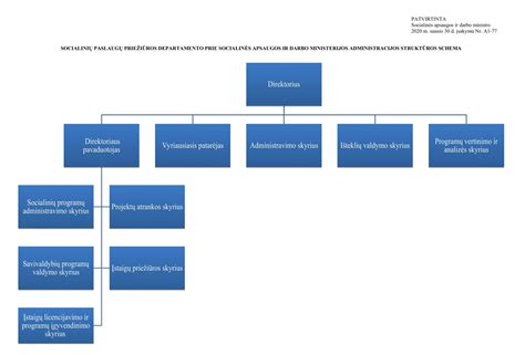 Socialinių paslaugų centro schema