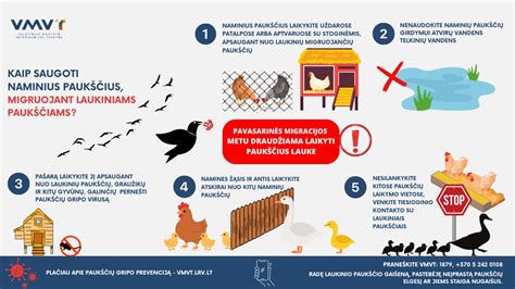 Infografika apie gripo prevenciją