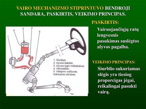 Schematinis vairo reduktoriaus veikimo principas
