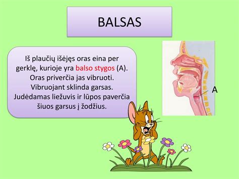 schematinis žmogaus balso aparato vaizdas