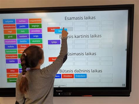 Interaktyvios lentos naudojimas klasėje