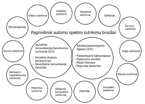 Schema, kaip autizmo spektro sutrikimas veikia smegenis