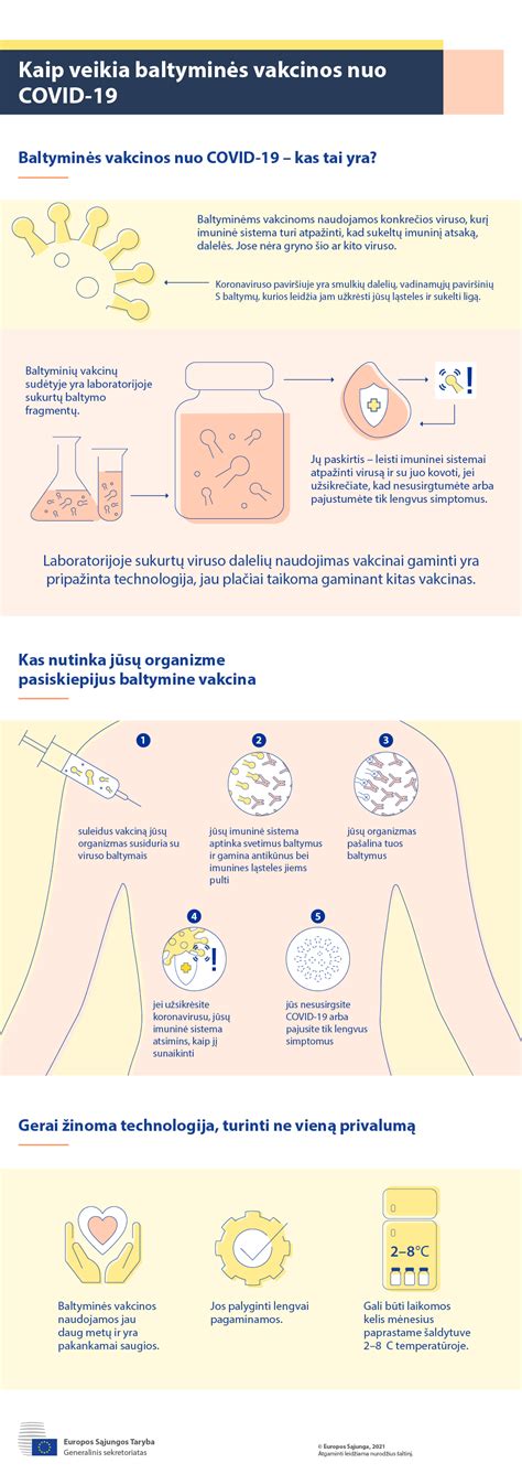 Schema, kaip veikia vakcinos