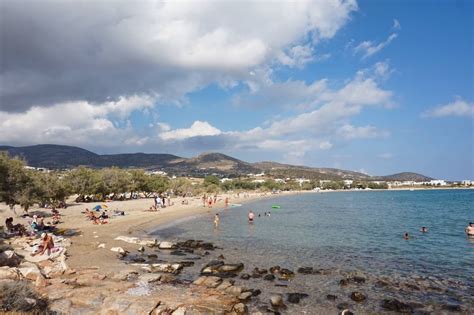 paros bioritmų kreivė