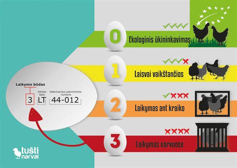 Infografika: Kiaušinių žymėjimas ir laikymo sąlygos