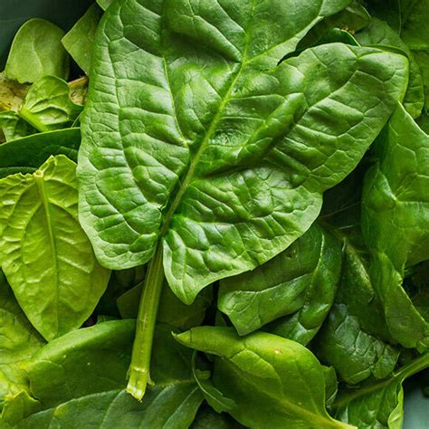 Špinatų lapai ir jų maistinė vertė