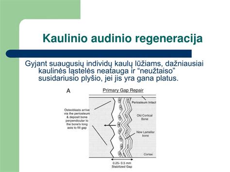 kaulinio audinio auglys