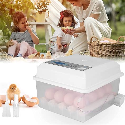 Inkubatorius neišnešiotam naujagimiui