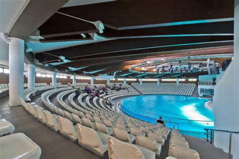 Architektūrinis delfinariumo projektas