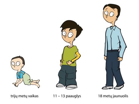 Vaisiaus augimas ir mamos kūno pokyčiai antrajame trimestre