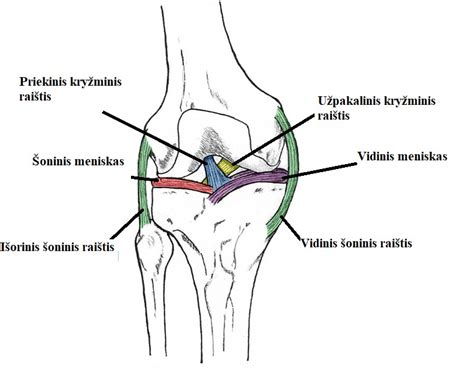 Istorinė prekybos kelio schema