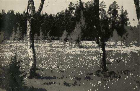 Povilo Karpavičiaus fotografija