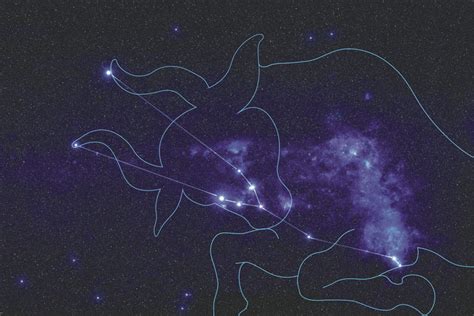 Dangaus skliautas su zodiako žvaigždynais