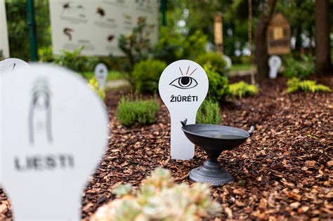 Sensorinis sodas senjorų namuose