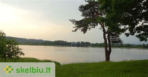 Vaizdinga aplinka prie Nemuno, tinkanti senjorų poilsiui