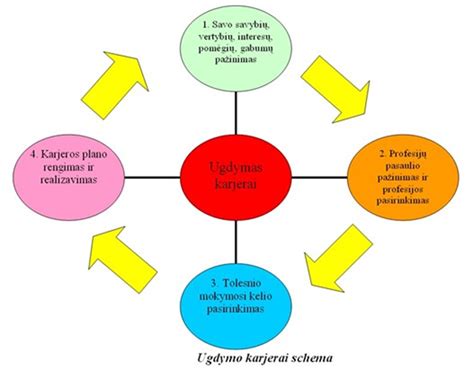 Schema, iliustruojanti karjeros etapų seką