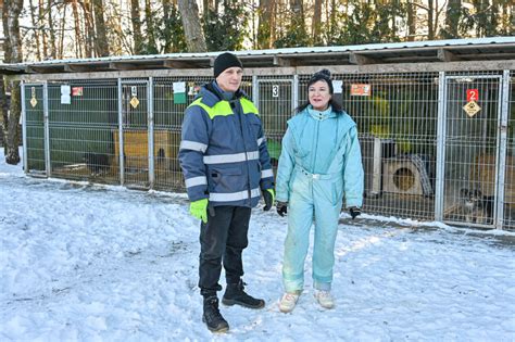 Savanoriai vedžioja šunis gyvūnų prieglaudoje